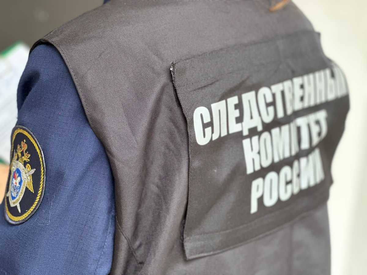 Следователи проверяют информацию о незаконной свалке в Боровичском округе