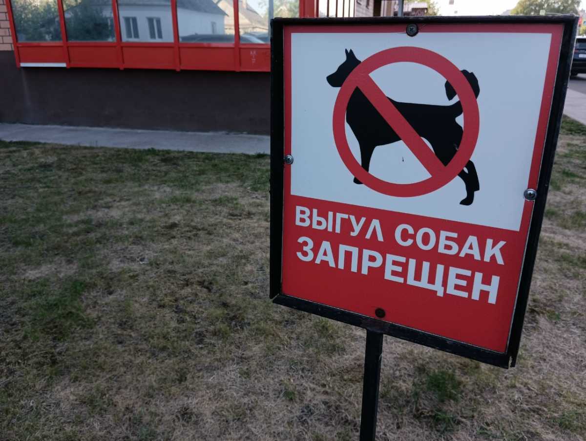 Хозяйку собаки в Окуловском округе осудили за нападение её пса на чужих уток