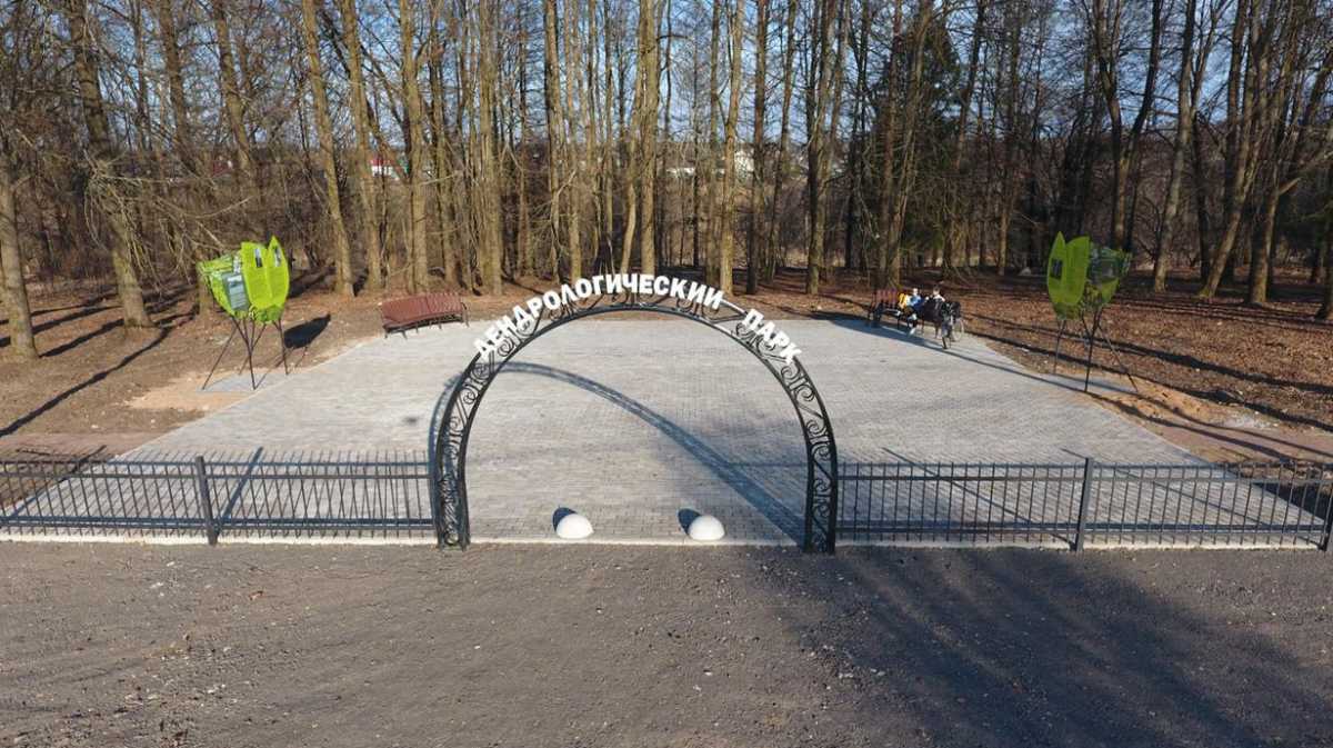 Световые фигуры медведей, рыси и зайцев появятся в дендропарке в Холме