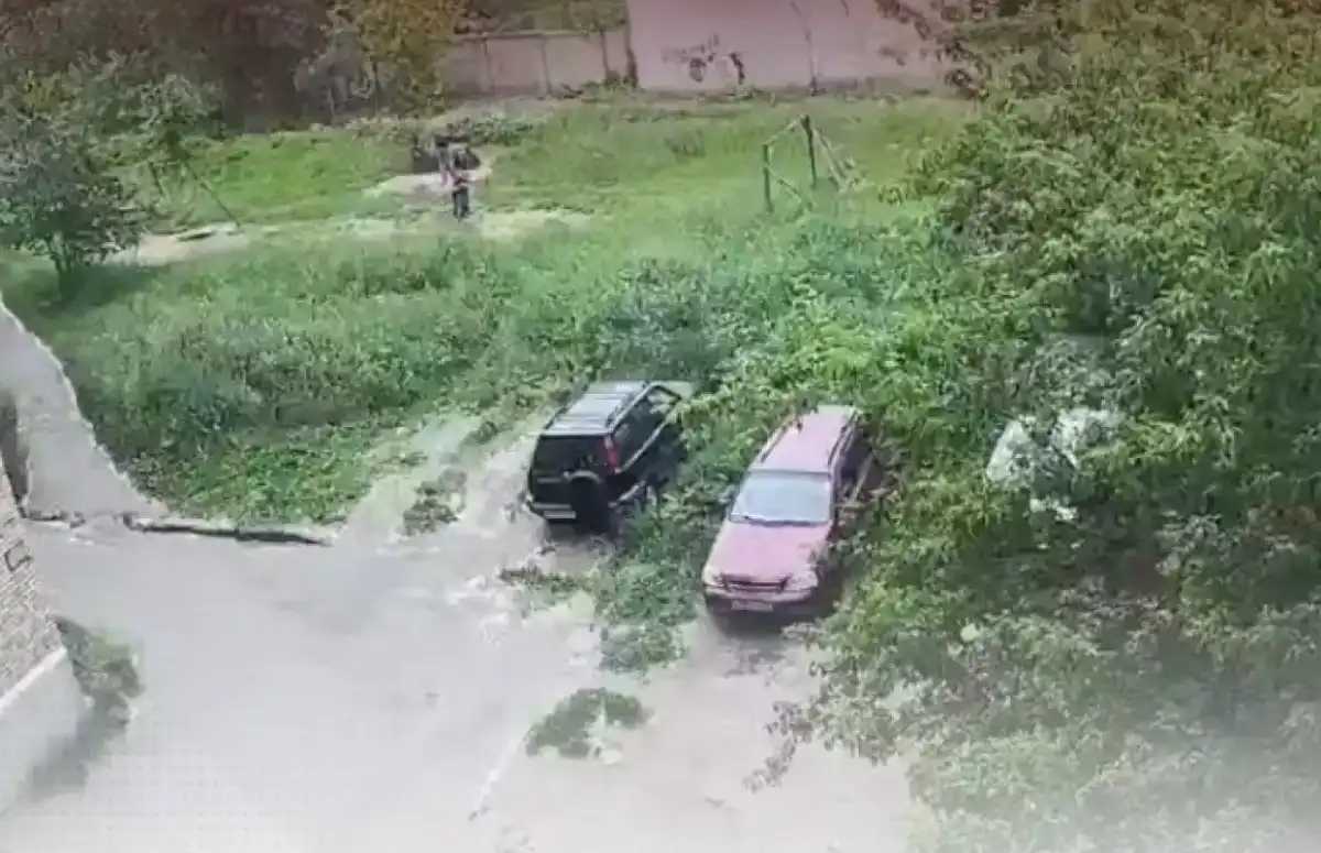 В Великом Новгороде начался суд над хозяевами пса, покусавшего 8-летнюю девочку