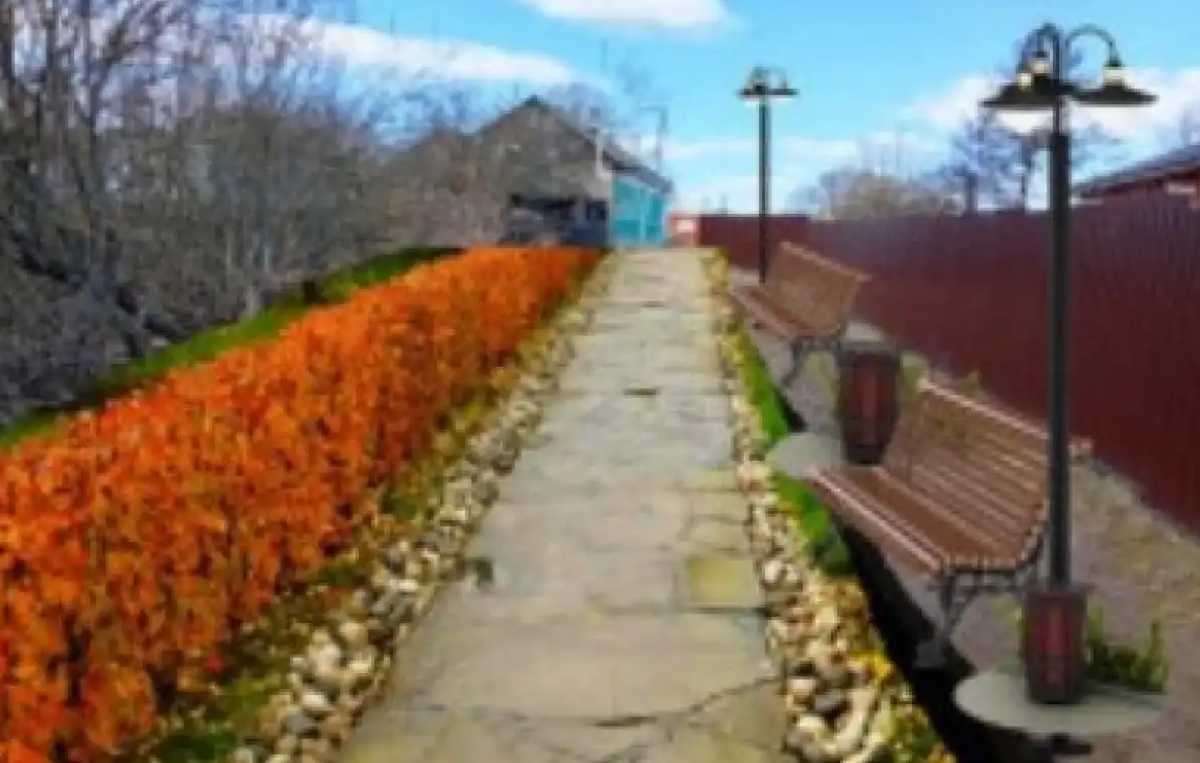 На аллее у реки Шелонь в Шимске проведут озеленение