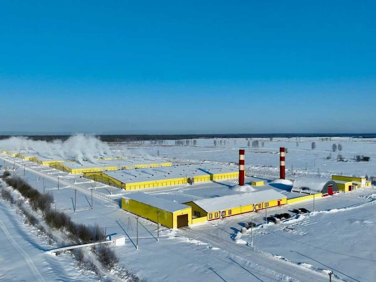 Сельхозпредприятия в Крестецком округе проверили с помощью БПЛА