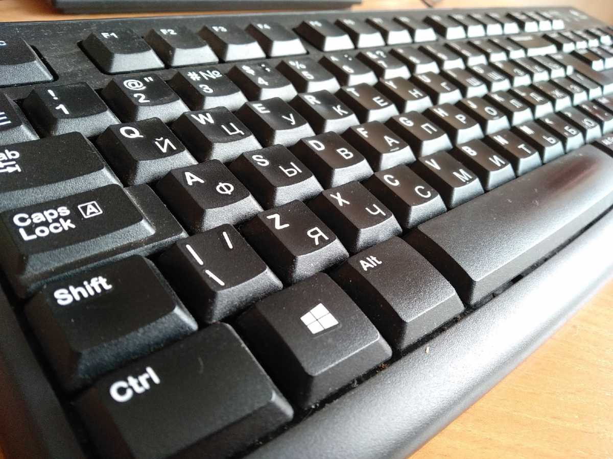 Молодых новгородских предпринимателей приглашают пройти масштабное исследование