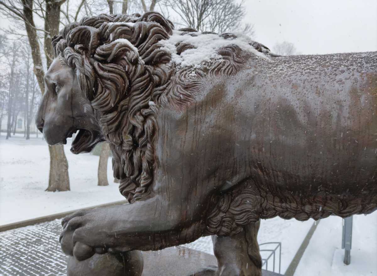 В выходные Новгородскую область завалит снегом