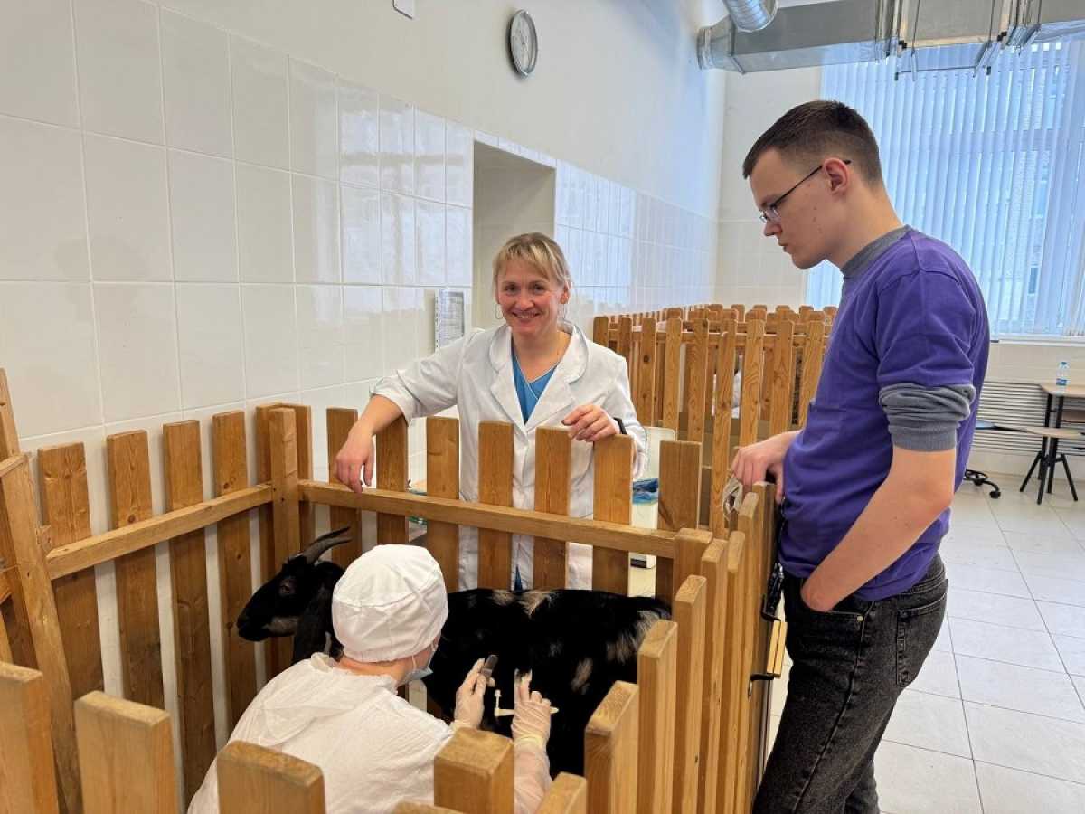 Больше 650 студентов и школьников участвуют в региональном этапе Всероссийского чемпионатного движения «Профессионалы»