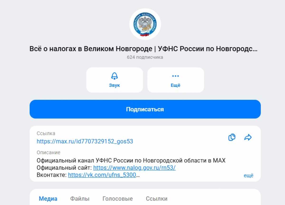 Новости новгородской налоговой службы теперь можно узнавать в мессенджере Мах