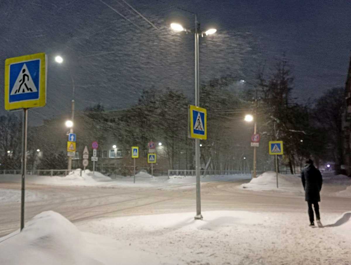 На Новгородскую область надвигается метель с порывистым ветром