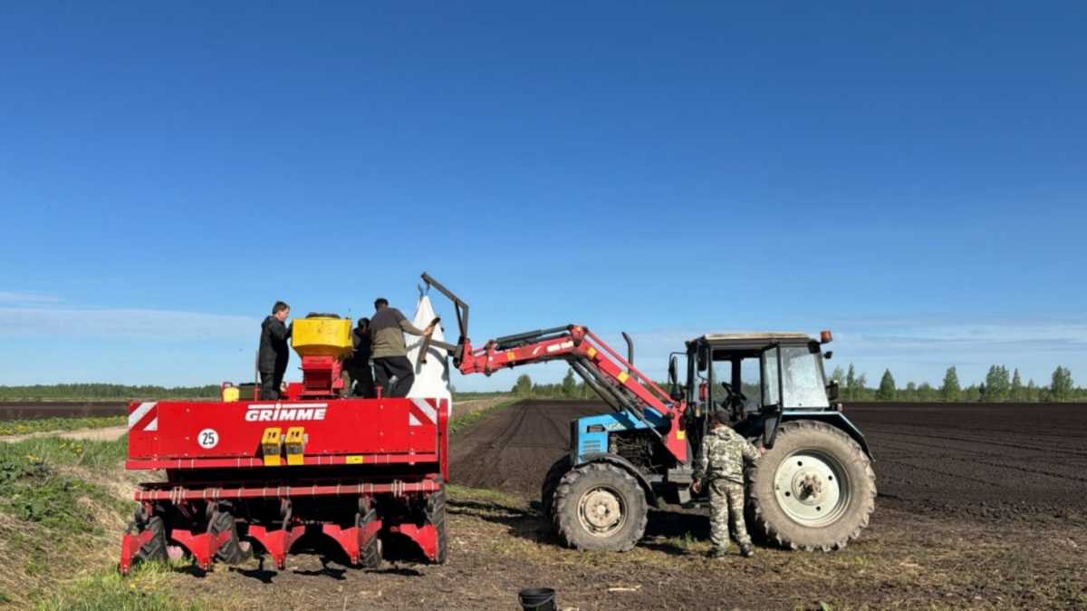 Весеннюю посевную в Новгородской области проведут на 34 тысячах га земли