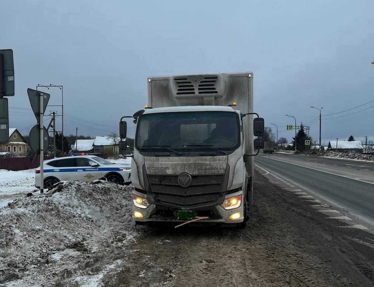 На М-10 в Новгородском округе остановили пьяного водителя фуры с лекарствами