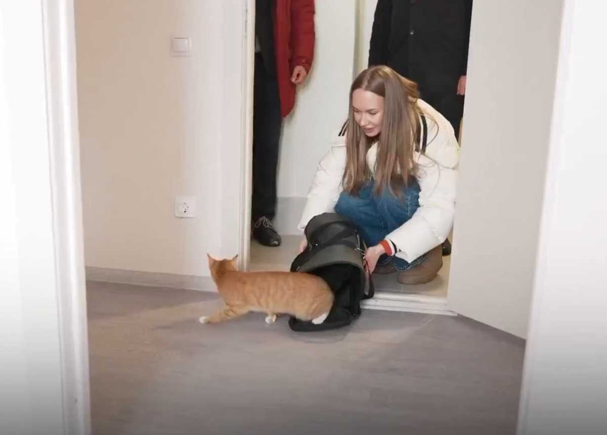 Пять врачей получили служебные квартиры в Великом Новгороде