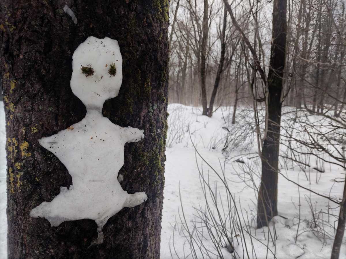 Вихрь с Атлантики принесёт в Новгородскую область тёплую и влажную погоду