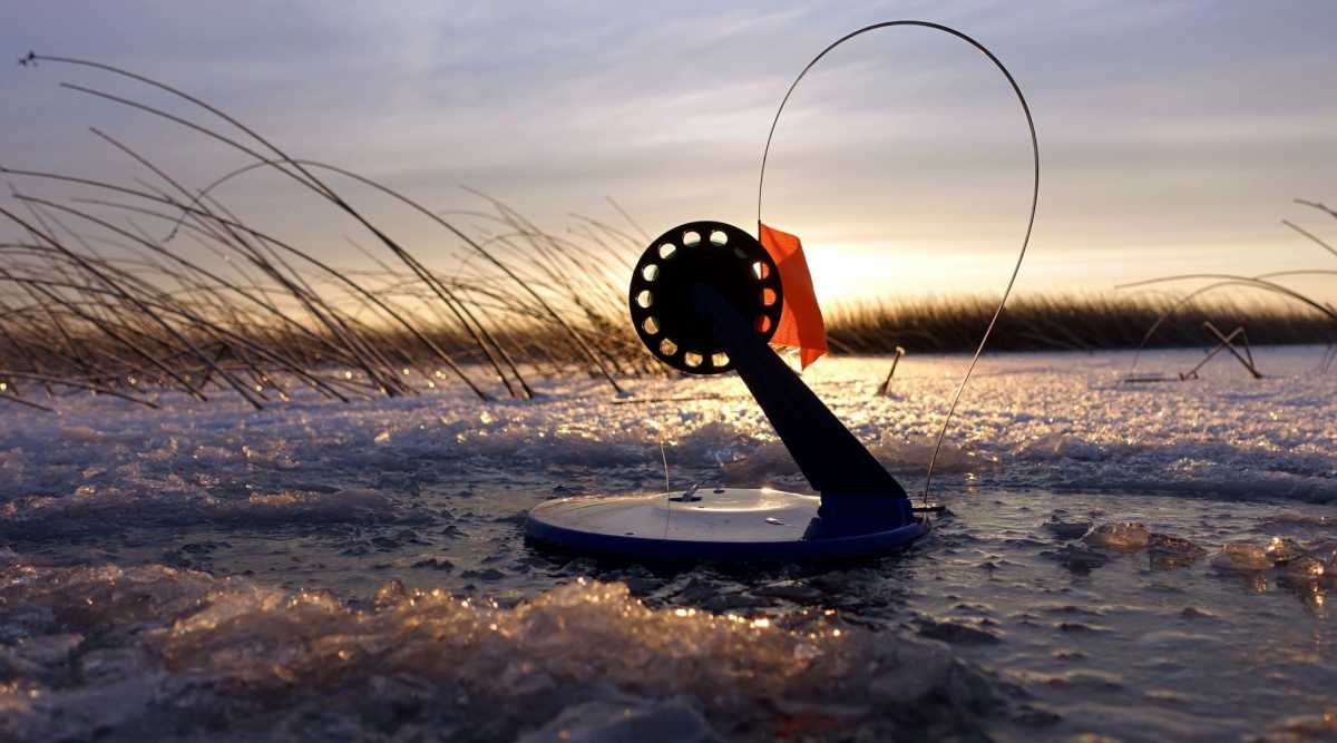 С начала марта на озере Ильмень запретили ловить рыбу с помощью жерлиц