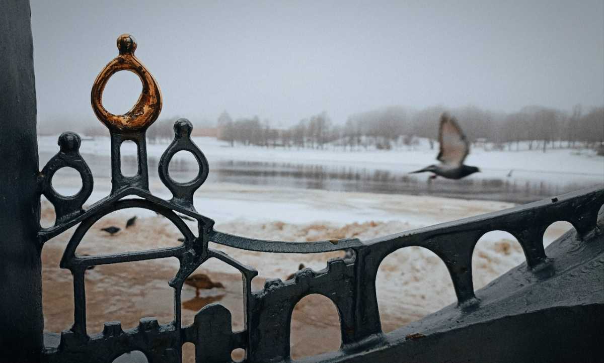 Новгородцев приглашают на авторский мастер-класс «Метафорическая гимнастика»