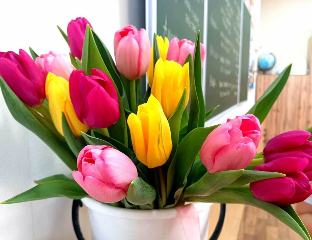 Александр Дронов поздравил новгородок с Международным женским днём