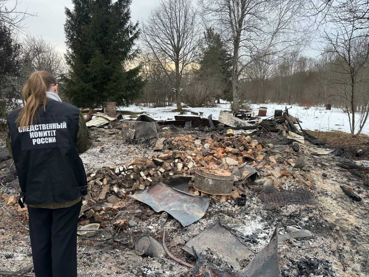 В Батецком округе на месте пожара обнаружили 79-летнего погибшего