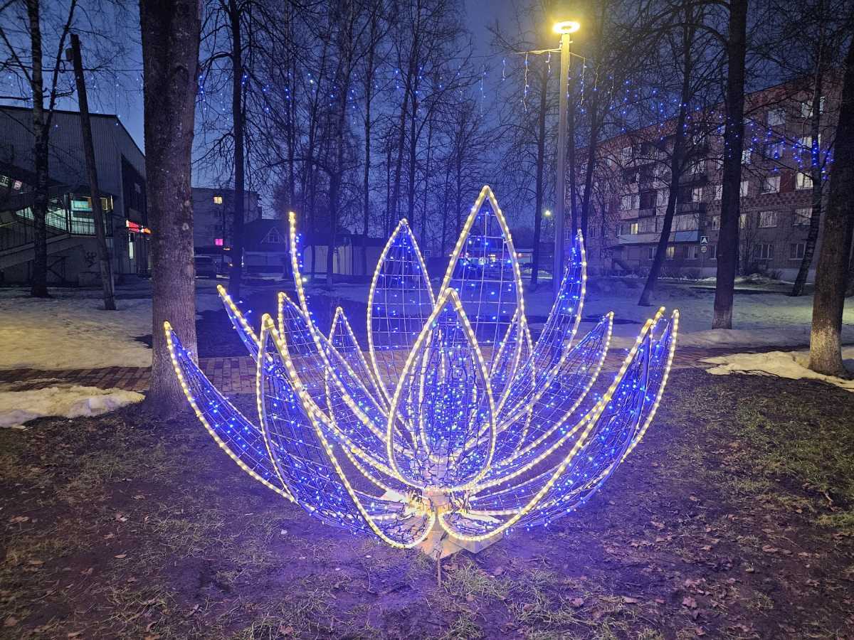 Парфинским женщинам подарили к 8 Марта светящийся арт-объект в форме лотоса