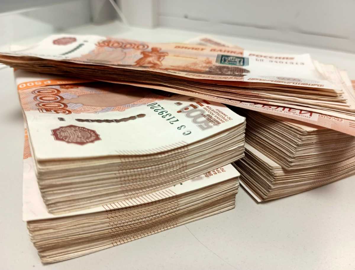 Жительница Малой Вишеры накопила более 600 тысяч рублей долга по алиментам