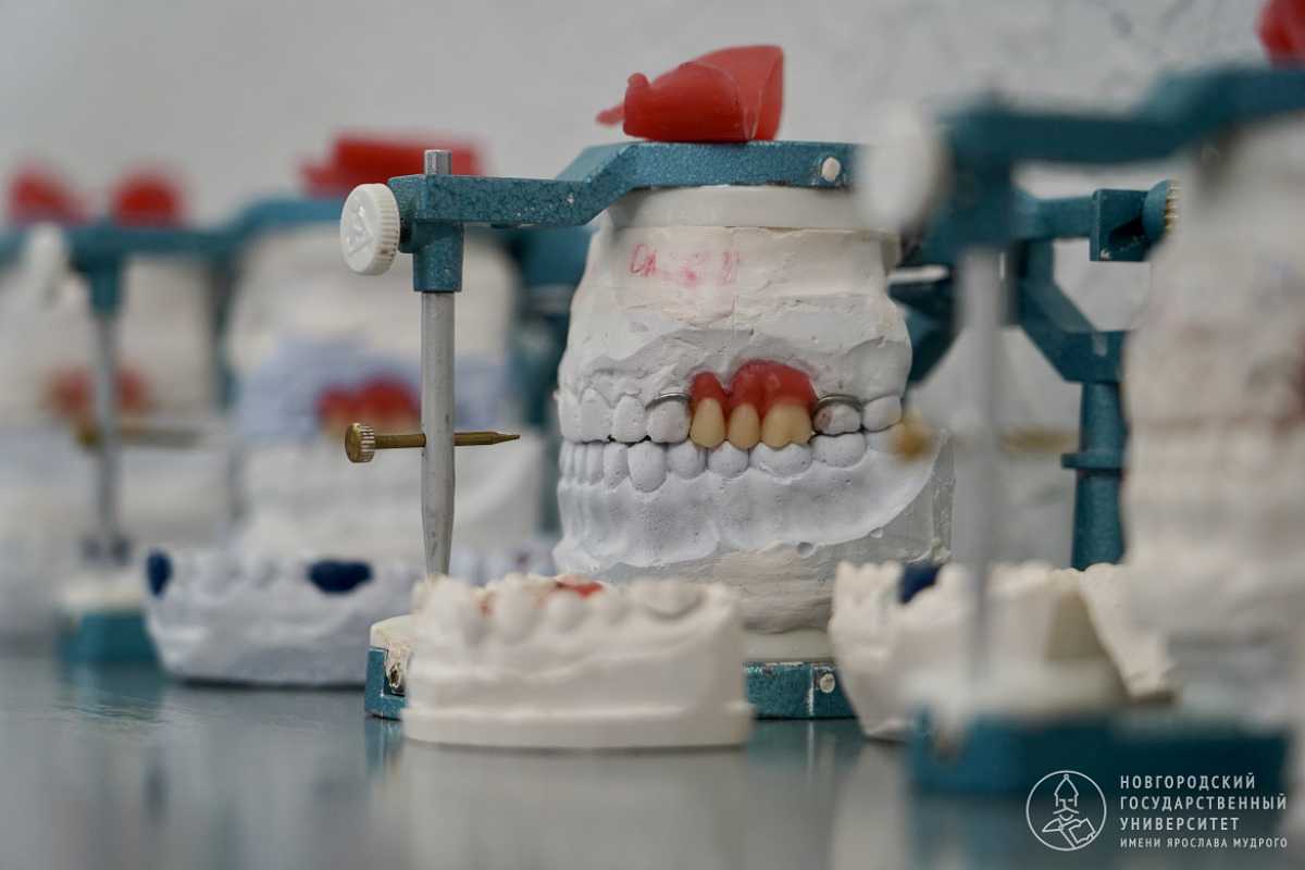 В Новгородском университете ортодонтов научат работать с элайнерами