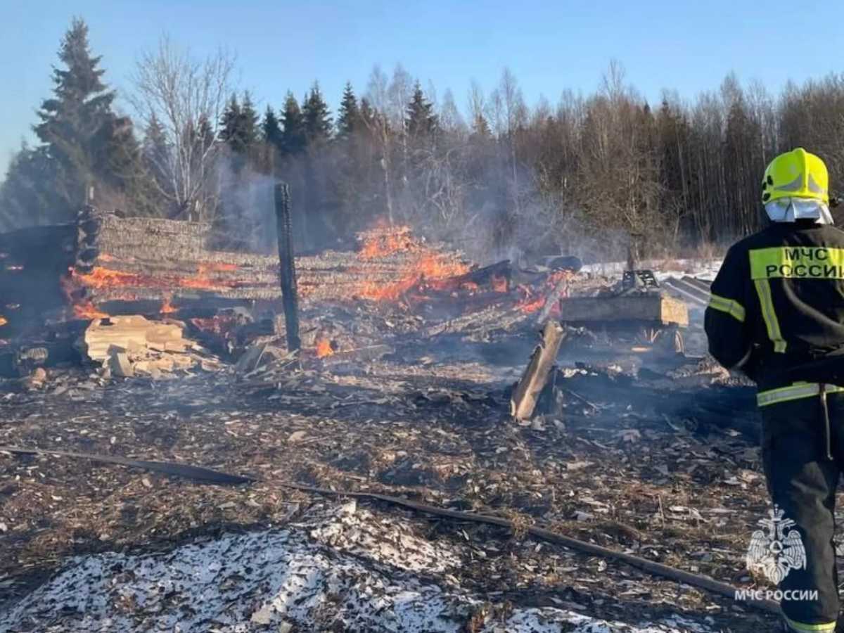 В Боровичском округе огонь уничтожил дом и хозпостройку