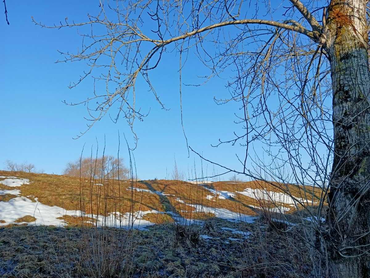 В Новгородской области прогнозируют ночные морозы до -6 градусов