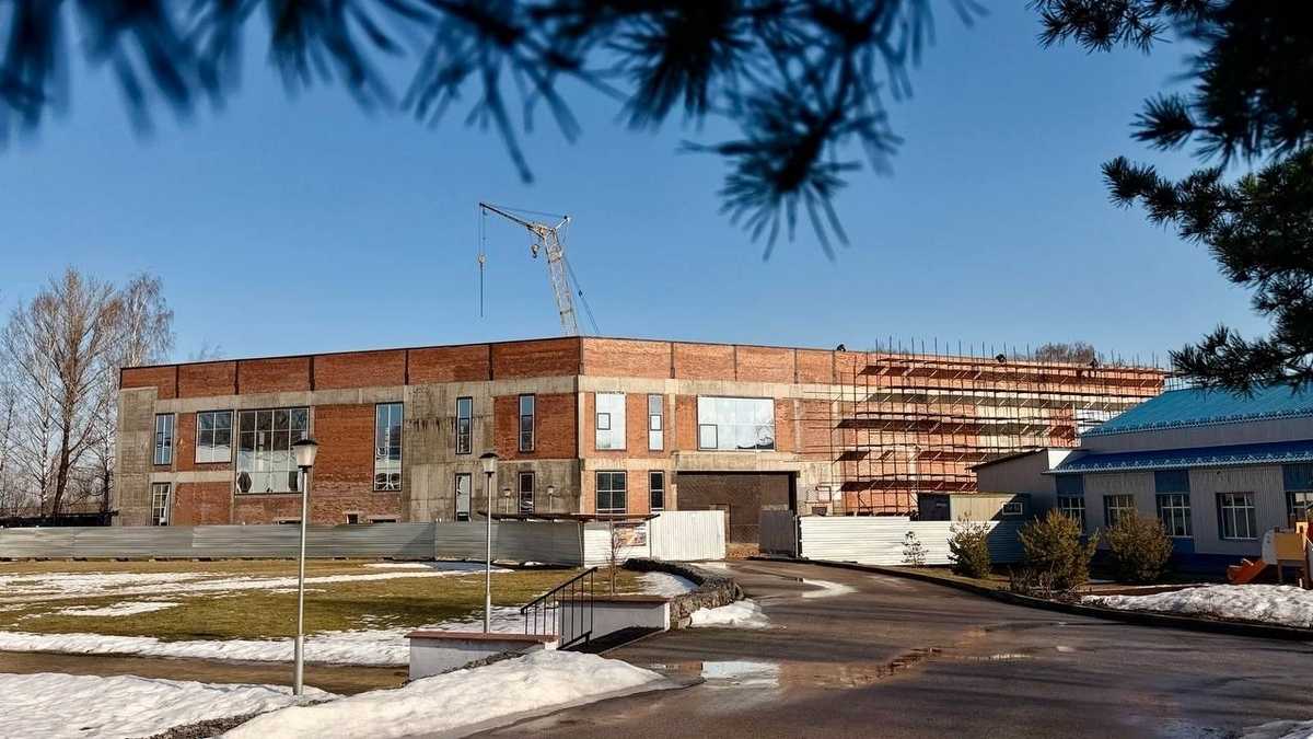 В детском центре «Терра Нова» в Боровичах будут стеклянный купол и панорамные окна