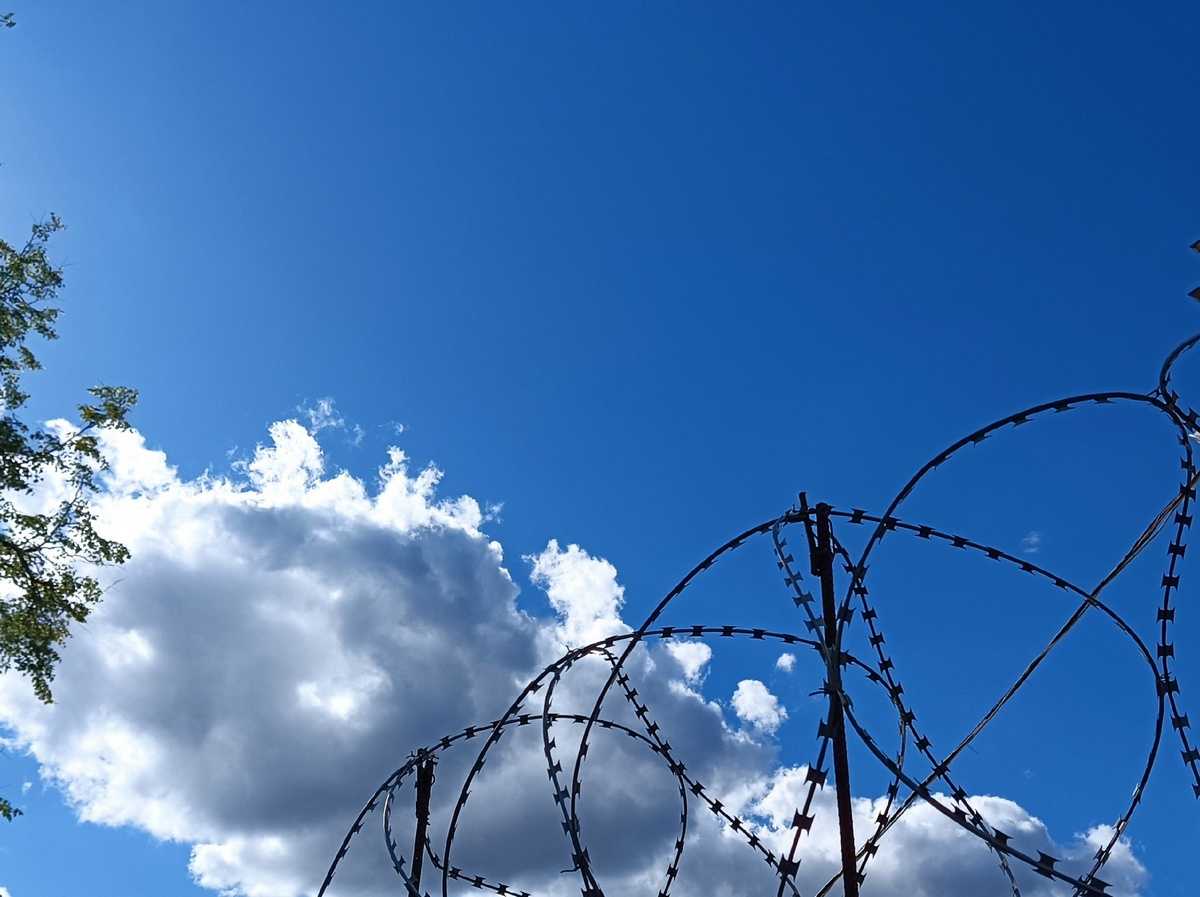 Иностранец отправится в колонию за покупки по чужой банковской карте в Валдае