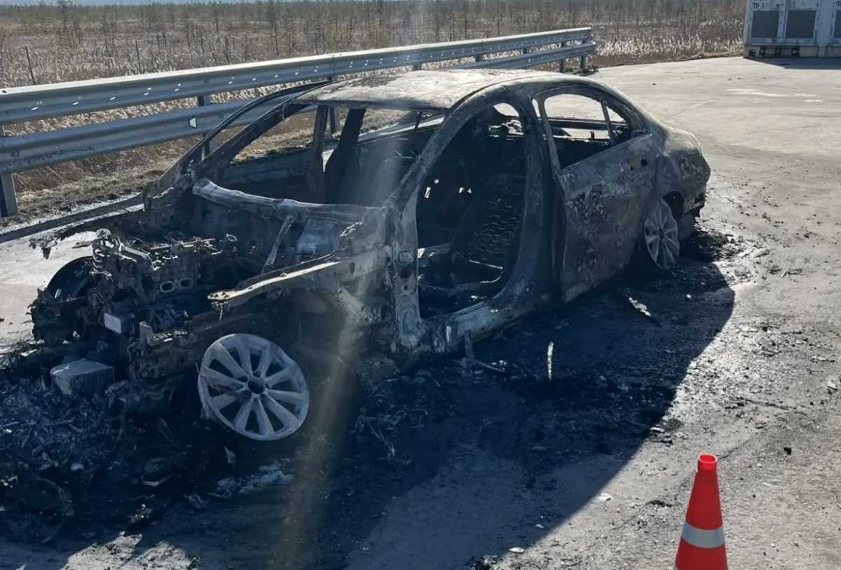 На трассе М-11 в Чудовском округе сгорел «Мерседес»