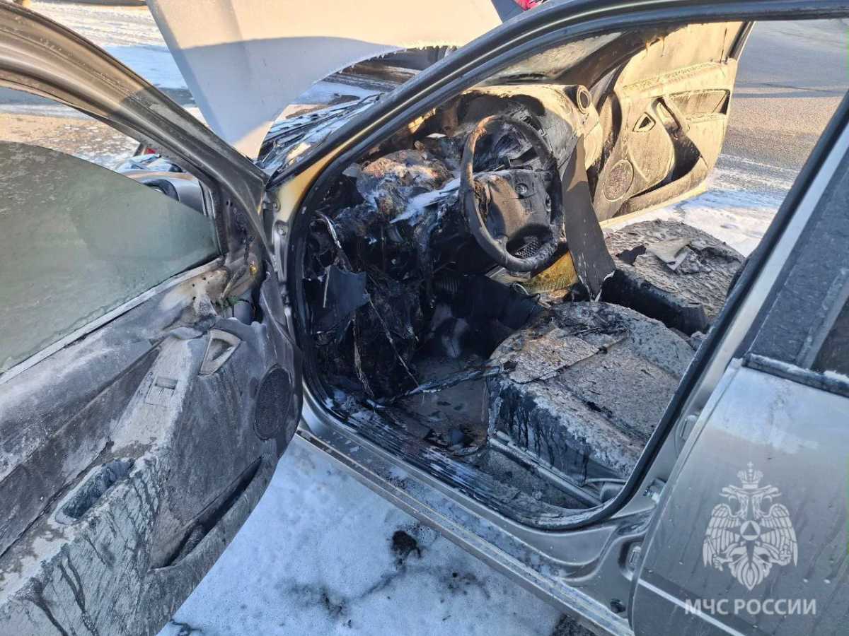 Пожарные тушили в Новгородской области пал травы, автомобиль, дом и нежилое здание