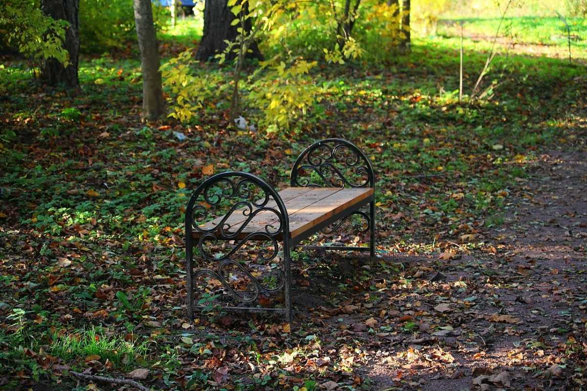 Новгородцы могут онлайн предложить территории для благоустройства