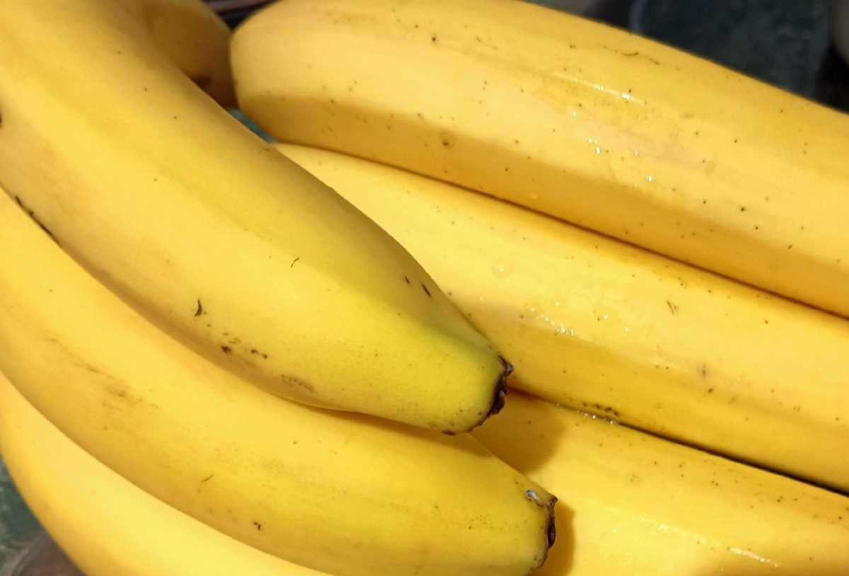 Супругов будут судить за кражу продуктов из супермаркета в Великом Новгороде