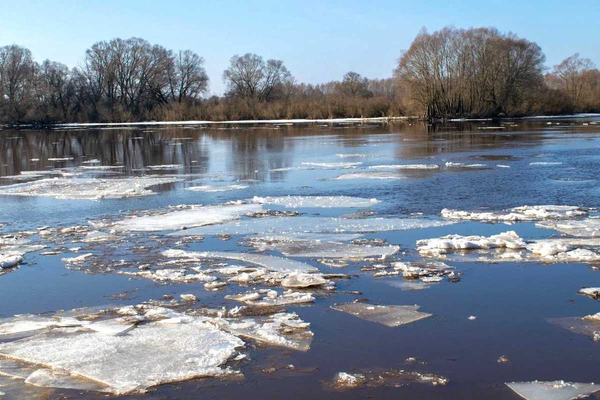 Ночью в Новгородскую область вернётся снег