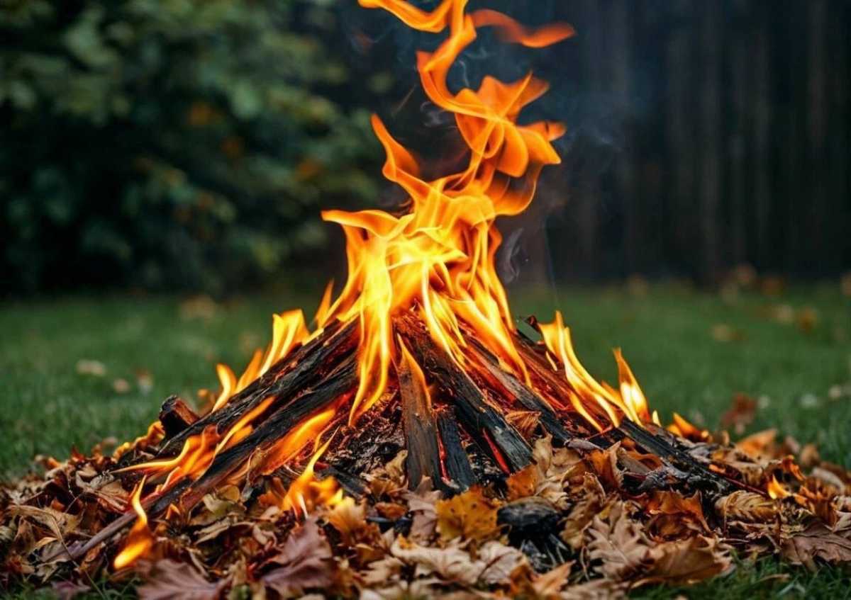 МЧС предупреждает о правилах сжигании мусора на личных земельных участках