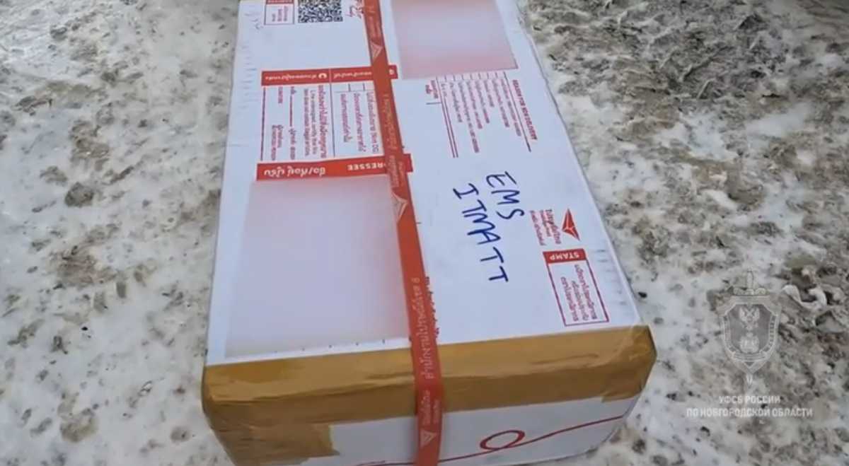 Новгородца обвиняют в контрабанде наркотиков из Таиланда в воске для волос