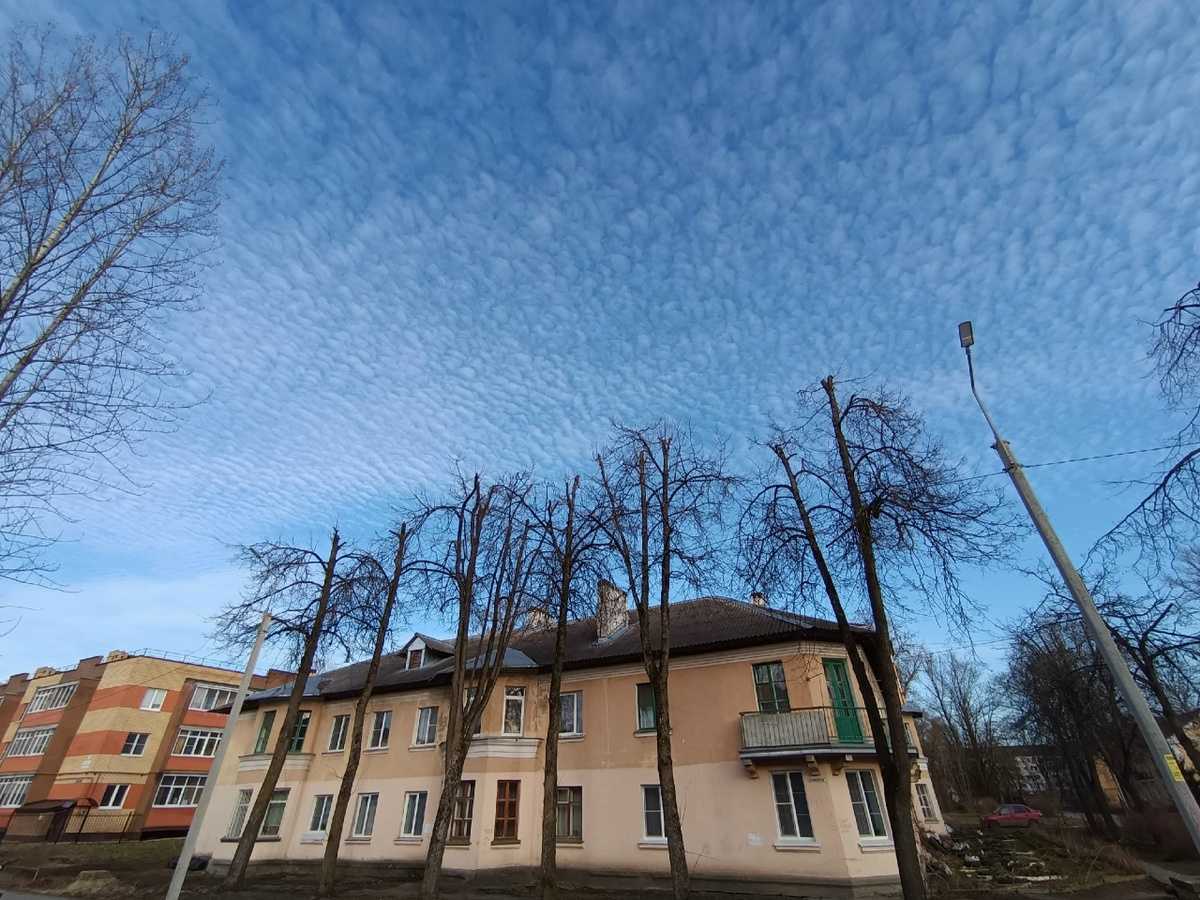 Март попрощается с новгородцами тёплой облачной погодой