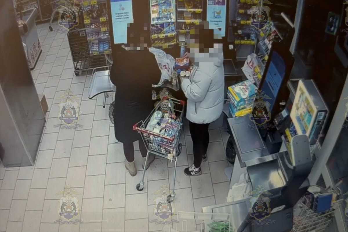 В кражах йогуртов и подгузников подозревают жительницу Пестова с дочерью