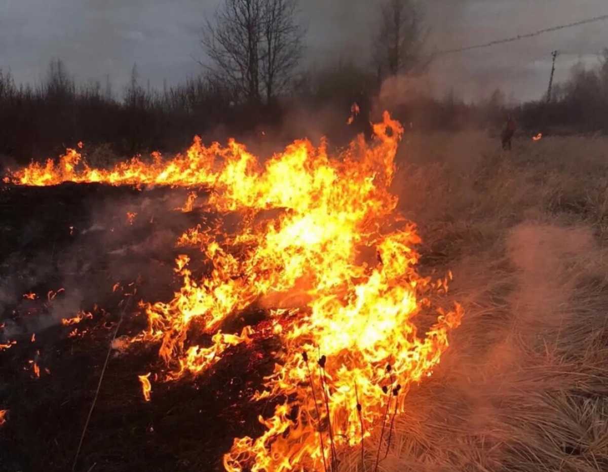 Особый противопожарный режим ввели в Пестовском округе