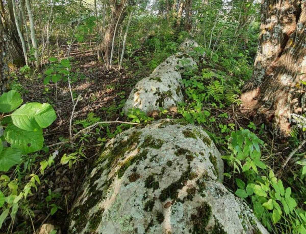 В Шимском округе благоустроят древний Коломовский каменный круг