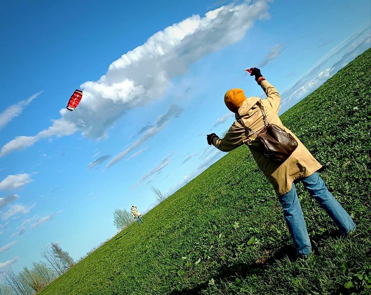 В Новгородской области усилится северный ветер