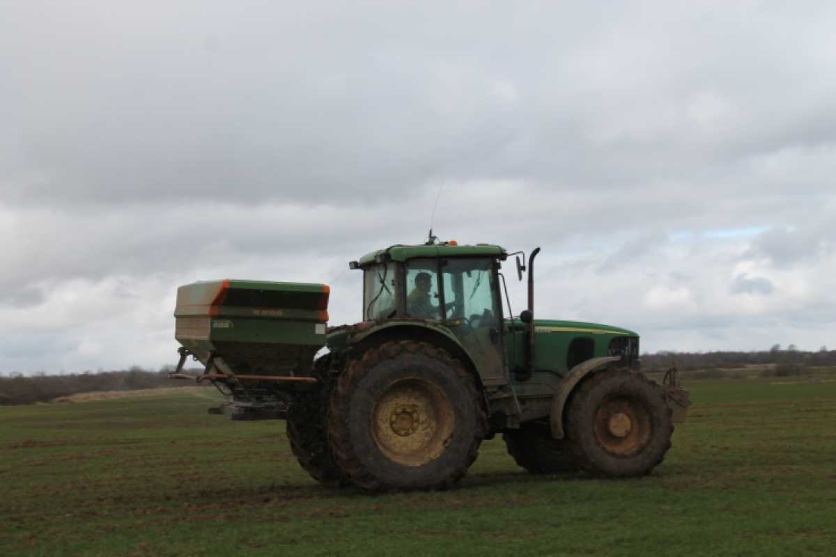 Новгородские аграрии засеют зерновыми культурами 7 тысяч гектаров