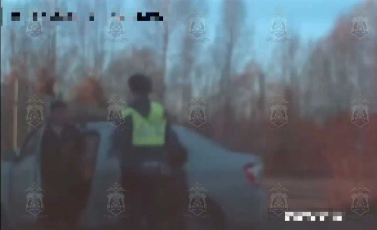 На М-10 в Крестецком округе задержали нелегальных мигрантов из Узбекистана