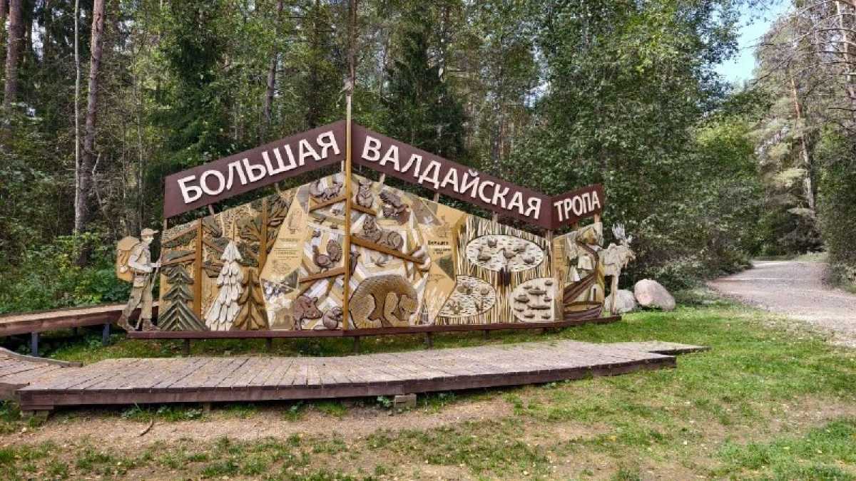 В Валдайском национальном парке создадут маршрут «Партизанскими тропами»