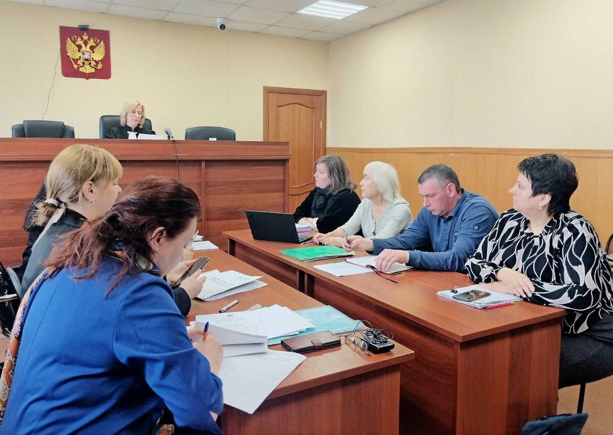 В суде приступили к рассмотрению дела о передаче под опеку ребёнка в Сольцах