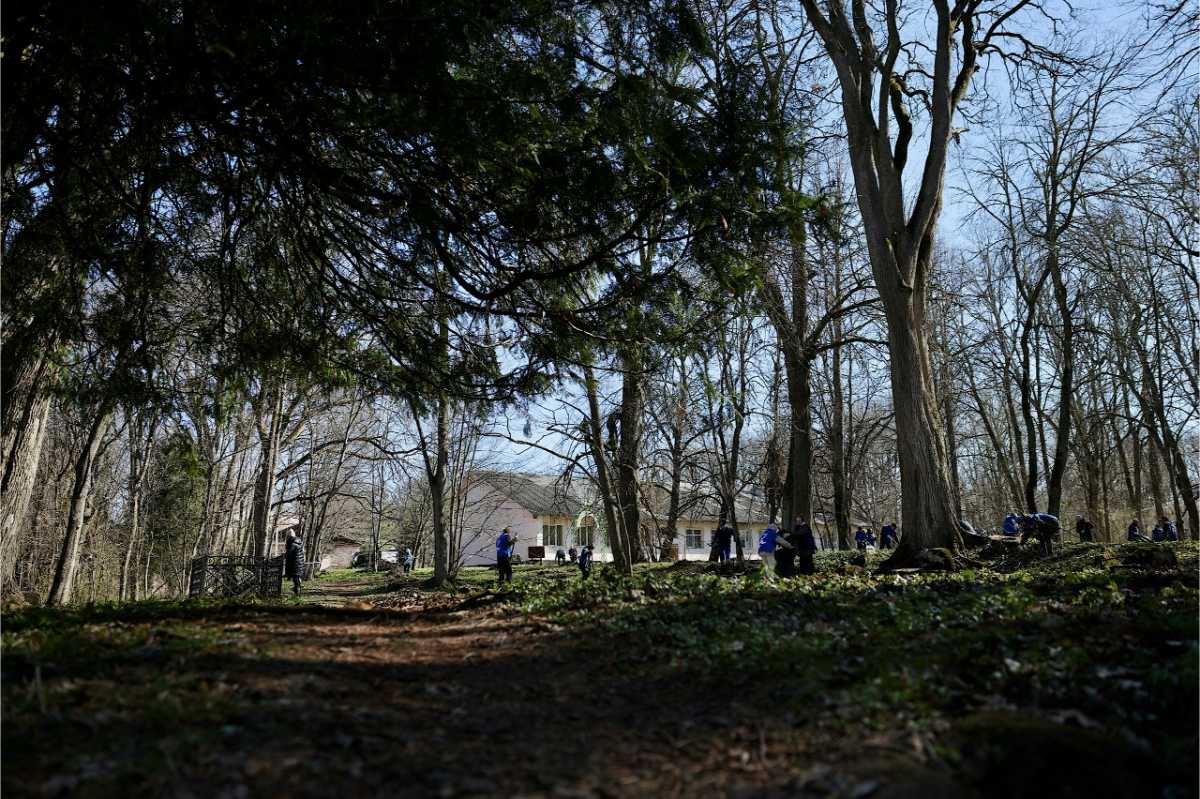 В Солецком округе провели субботник на территории усадьбы князей Васильчиковых
