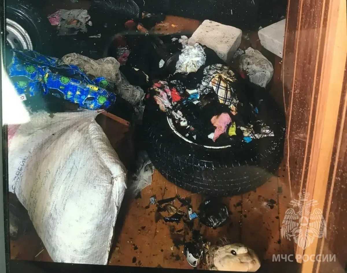 Детская шалость могла стать причиной пожара в новгородских Кречевицах