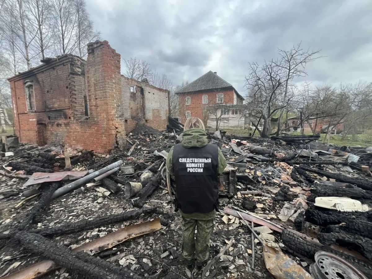 На пожаре в демянской деревне Намещи погибла 86-летняя женщина