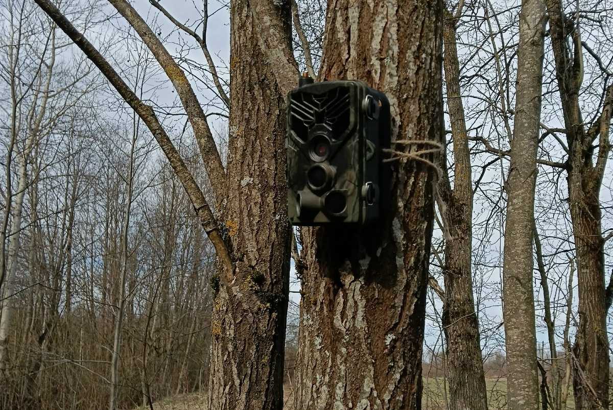 В местах незаконных свалок в Новгородской области устанавливают фотокамеры