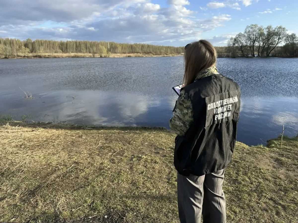 В реке Шелонь в Новгородской области утонул мужчина