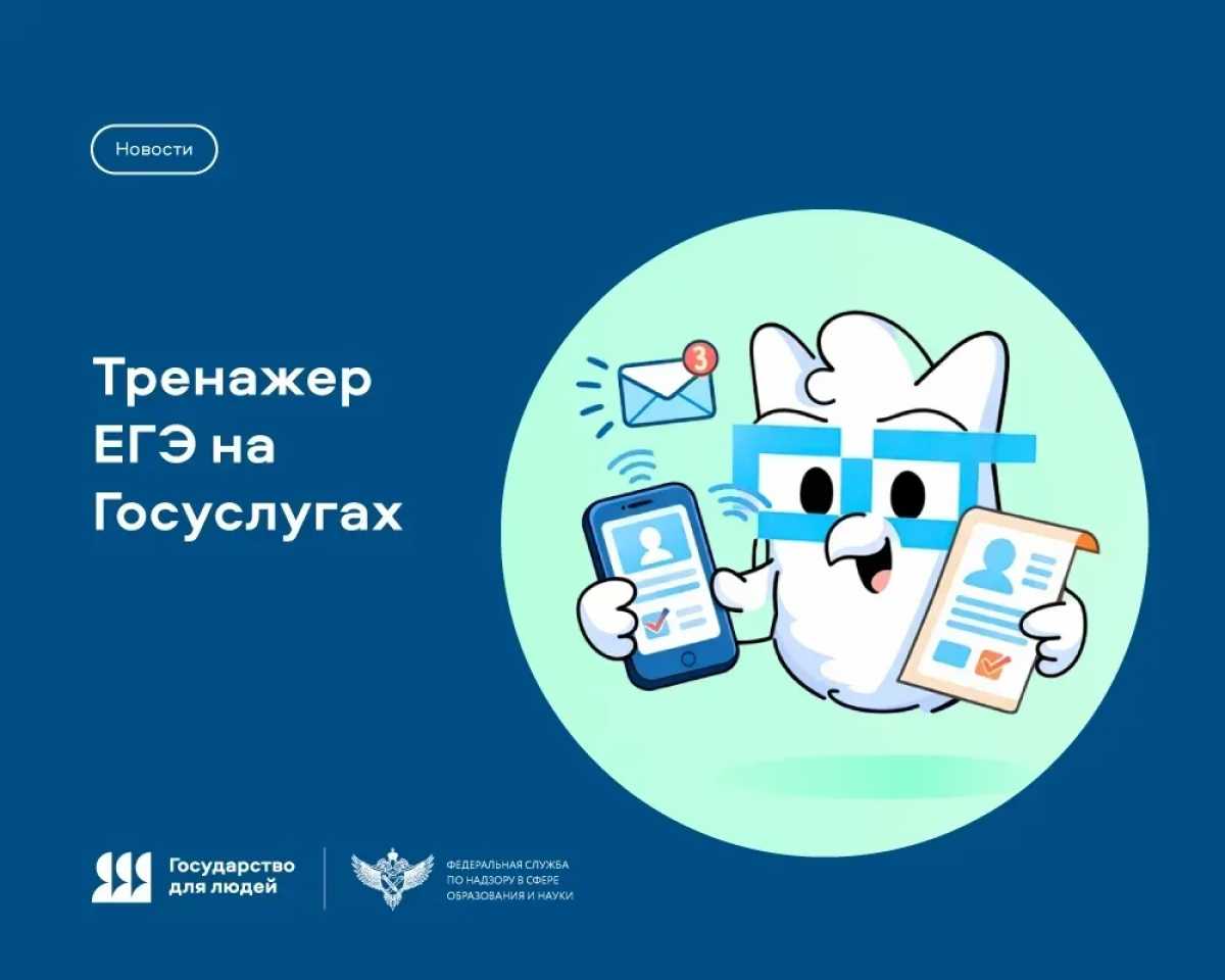 Новгородские школьники смогут готовиться к ЕГЭ на портале госуслуг