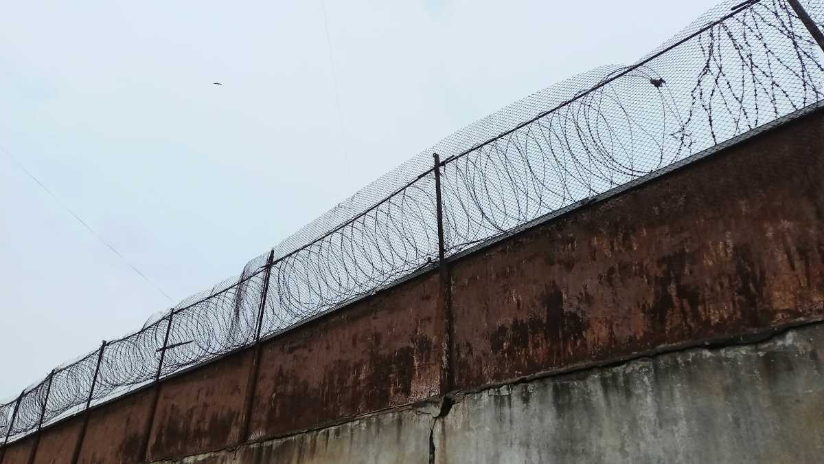 За убийство с расчленением в Чудовском округе мужчину приговорили к пожизненному сроку