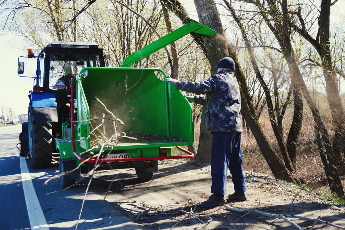Аллею Николая Антонова на въезде в Великий Новгород очищают от мусора
